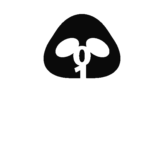PANDINGのブランドアイコン